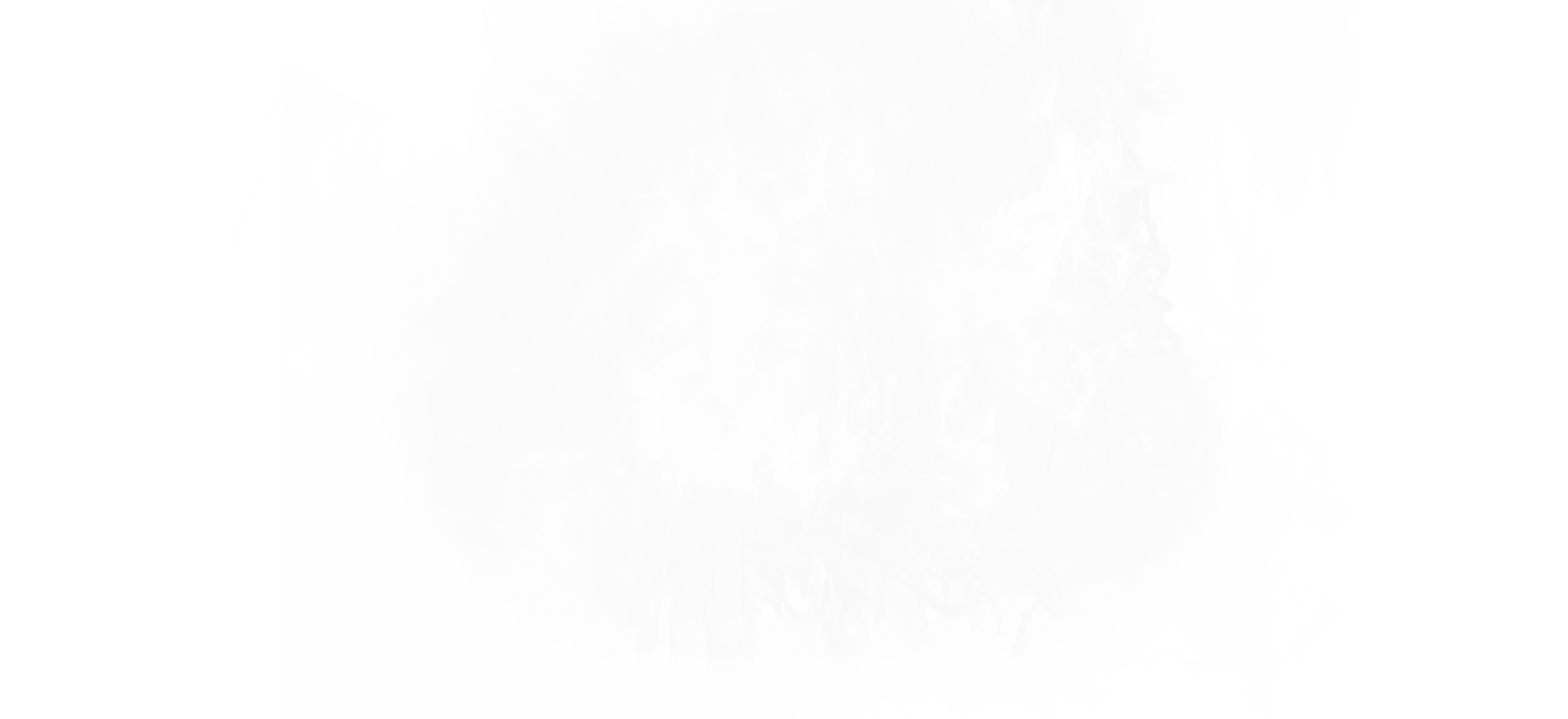 컵누들 위의 증기